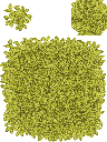 hosigusa.png